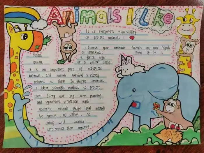 animals手抄报七年级图片