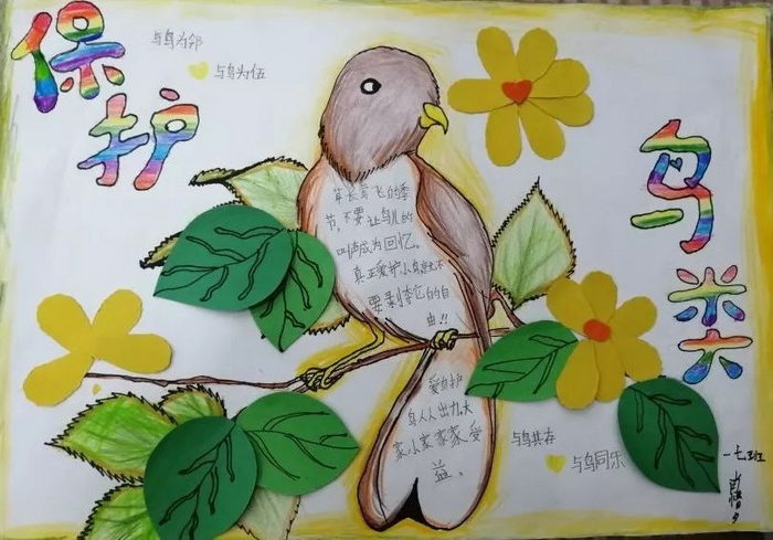 爱鸟周卡通图片