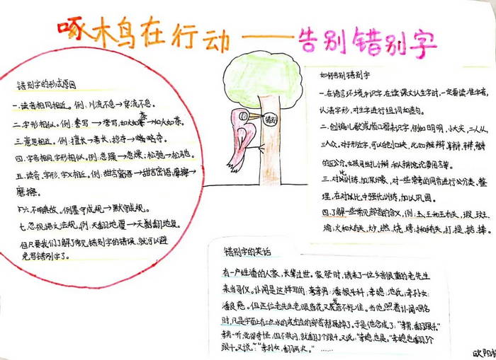 啄木鸟在行动手抄报图片大全