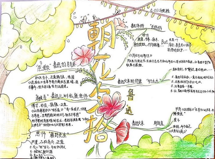 朝花夕拾手抄报初中简单