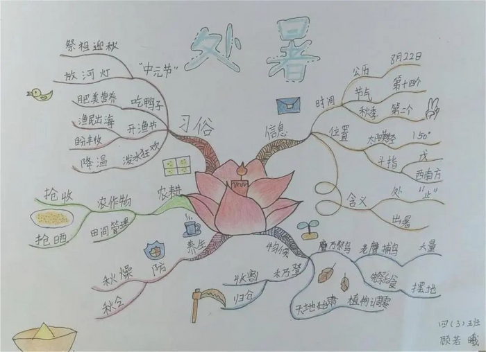 处暑的思维导图怎么画图片