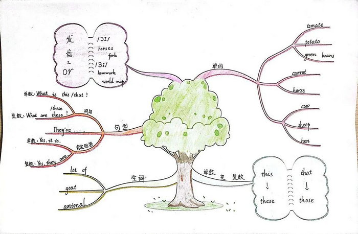 三到五年级英语思维导图漂亮简单