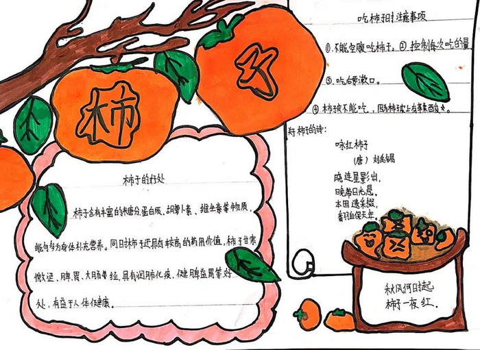 柿子文化节手抄报简单又漂亮