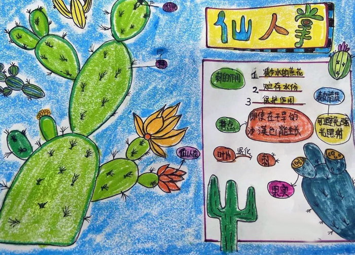 小学三年级植物画报图片