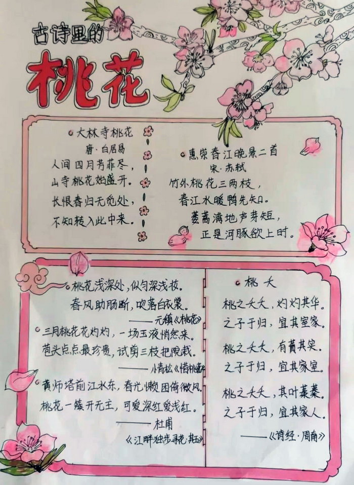 以桃花为主题的手抄报图片